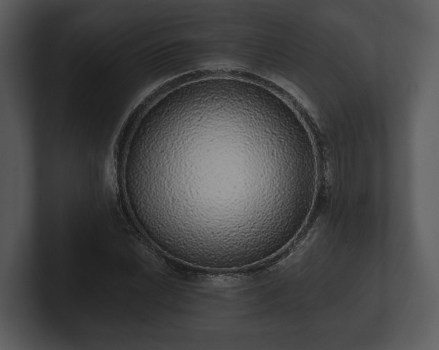 X0000103151022200808291426