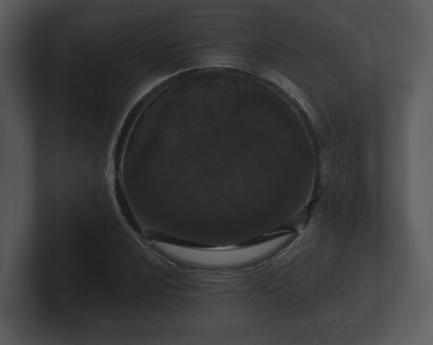 X0000103151024200808291426