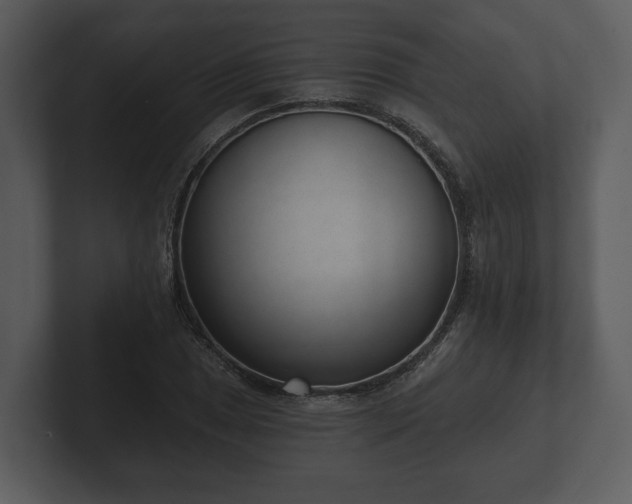 X0000103151025200808291426