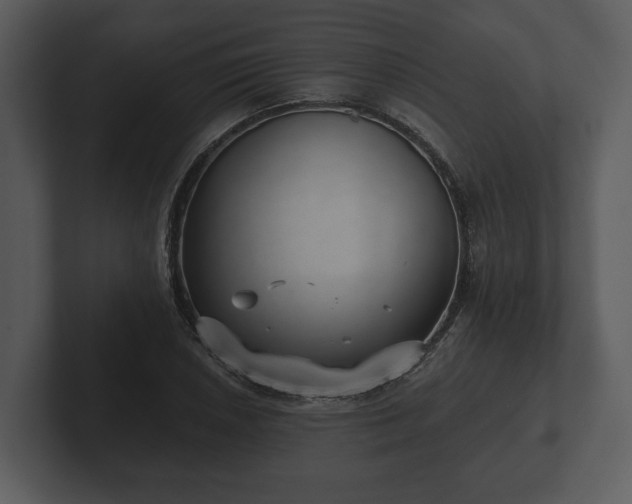 X0000103151026200808291426