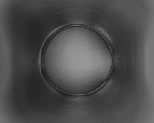 X0000103151028200808291426