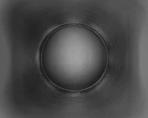 X0000103151030200808291426