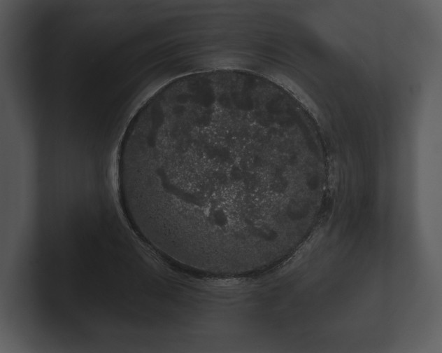 X0000103151031200808291426