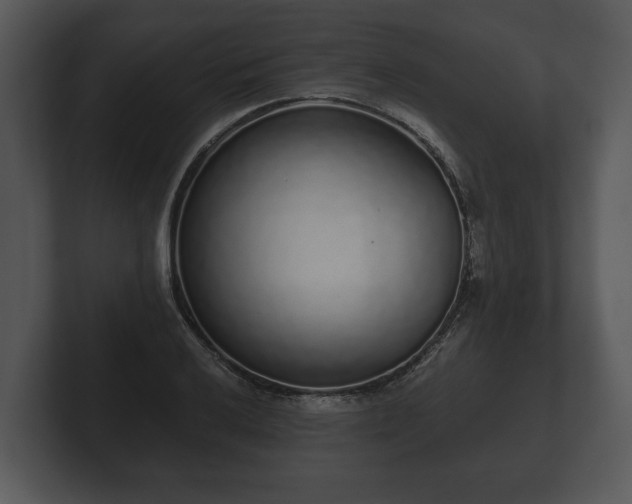 X0000103151032200808291426