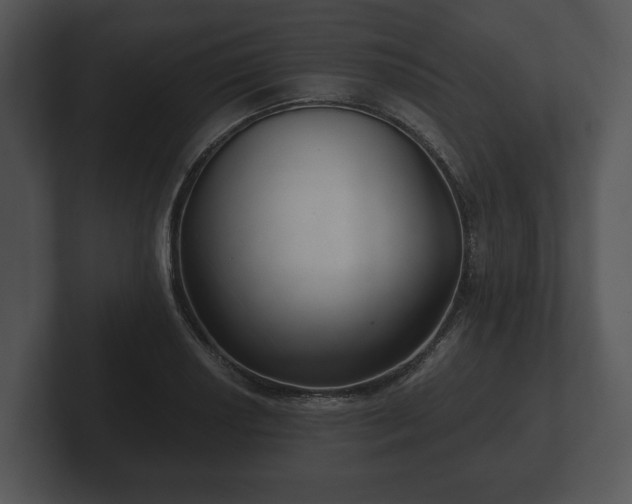 X0000103151034200808291426