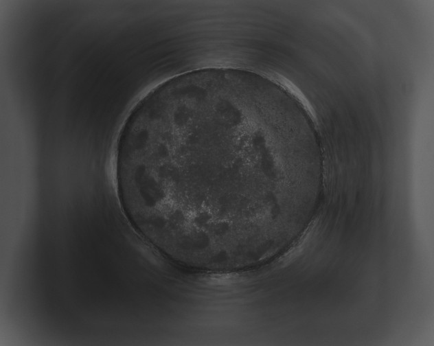 X0000103151035200808291426