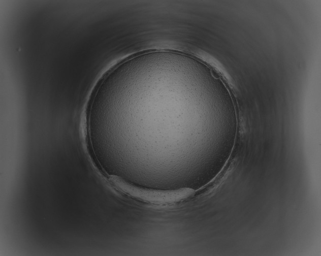 X0000103151040200808291426