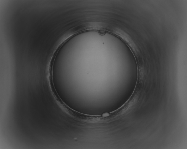 X0000103151042200808291426