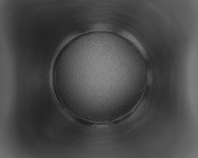 X0000103151043200808291426