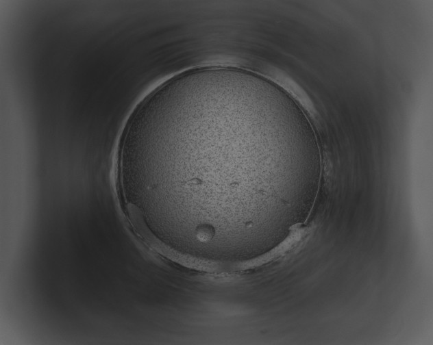 X0000103151044200808291426