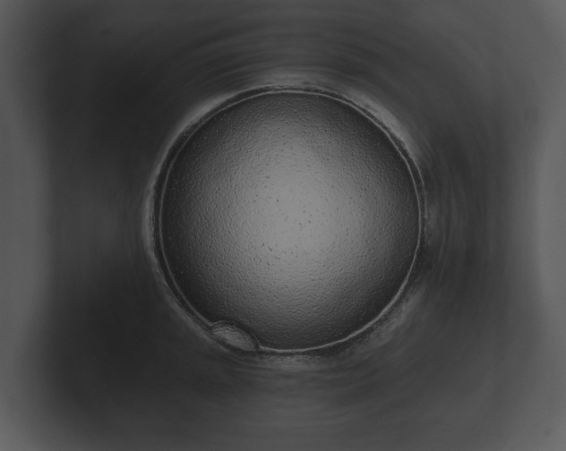 X0000103151045200808291426