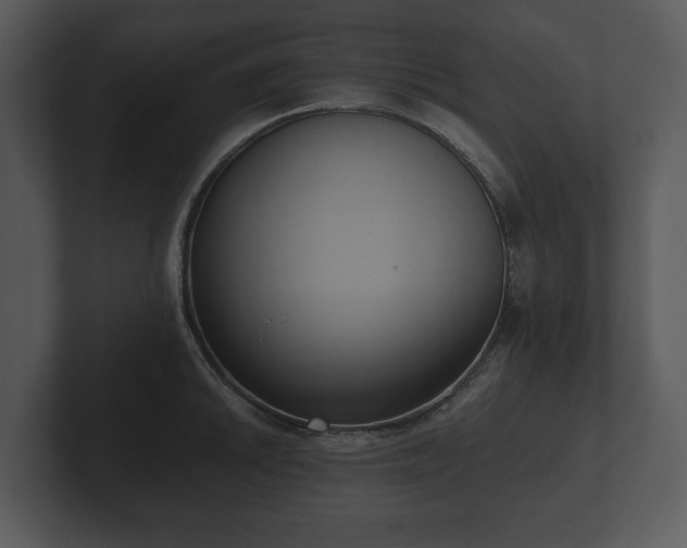 X0000103151046200808291426