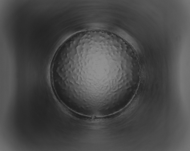 X0000103151047200808291426