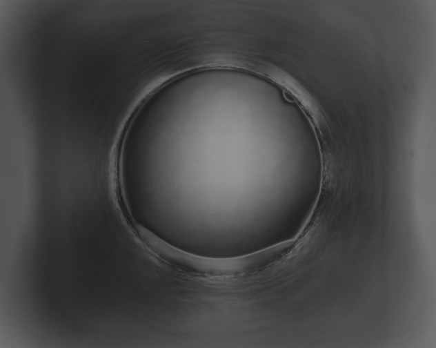 X0000103151048200808291426