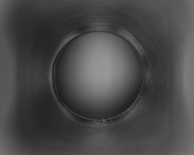 X0000103151050200808291426