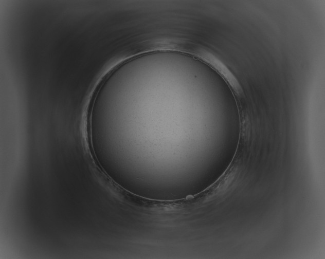 X0000103151051200808291426