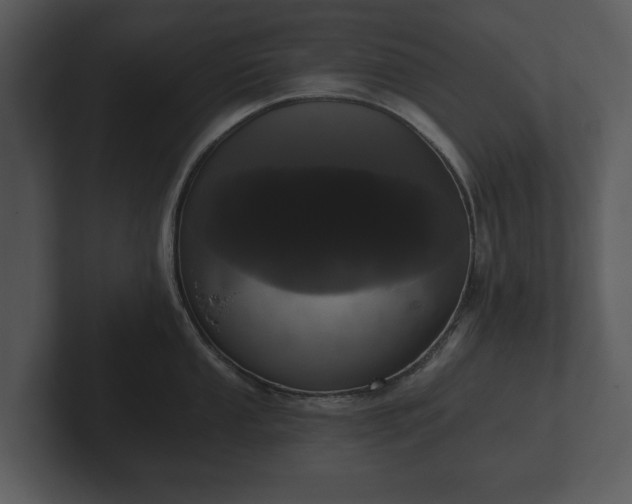 X0000103151053200808291426