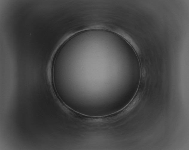 X0000103151054200808291426