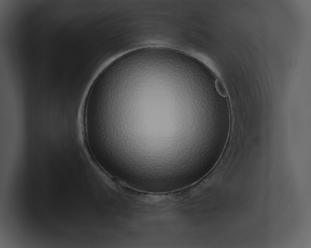 X0000103151056200808291426