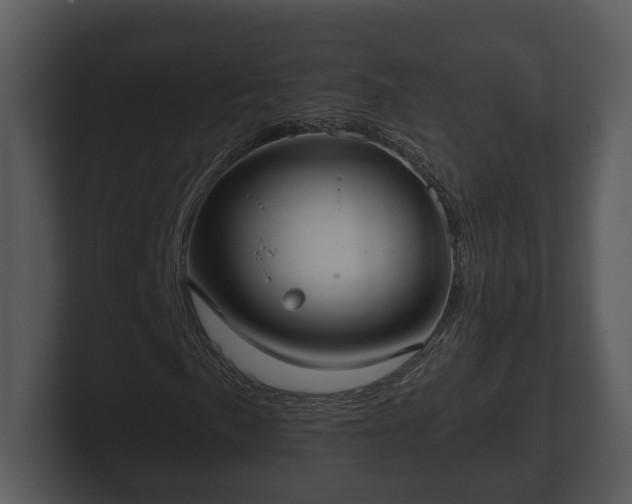 X0000103151057200808291425