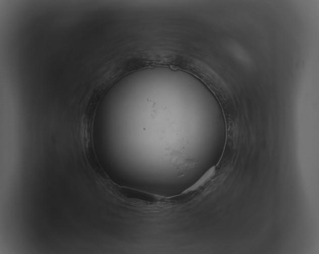 X0000103151058200808291425