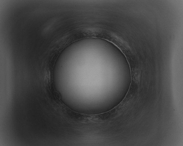 X0000103151061200808291425