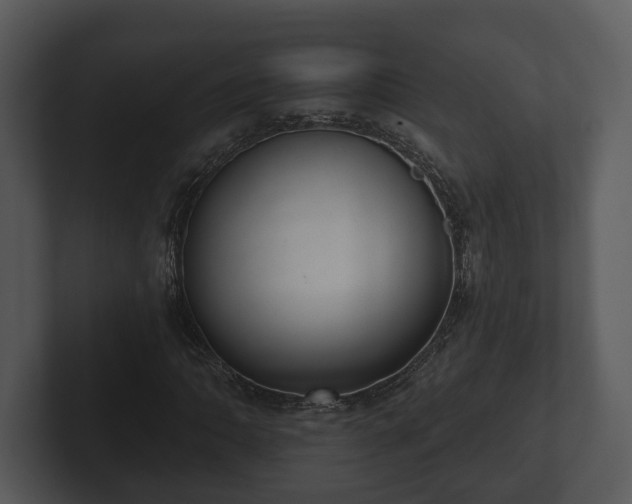 X0000103151062200808291425