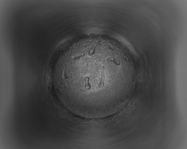 X0000103151063200808291425