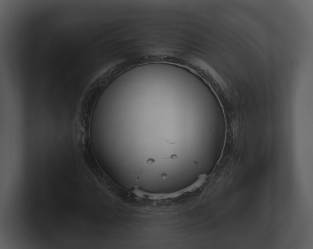 X0000103151064200808291425