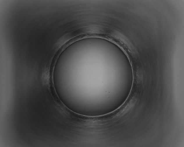 X0000103151065200808291425