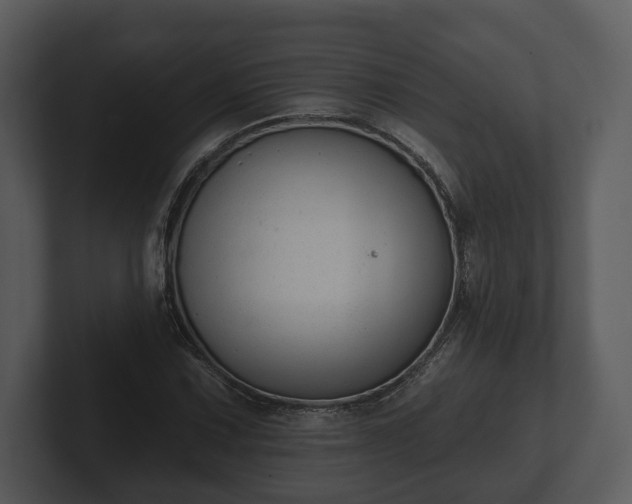 X0000103151067200808291425