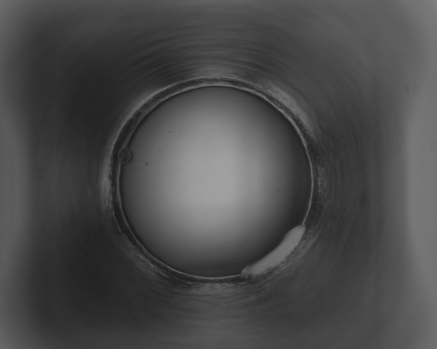 X0000103151068200808291425