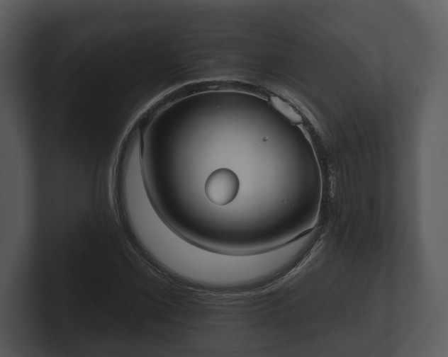 X0000103151069200808291425