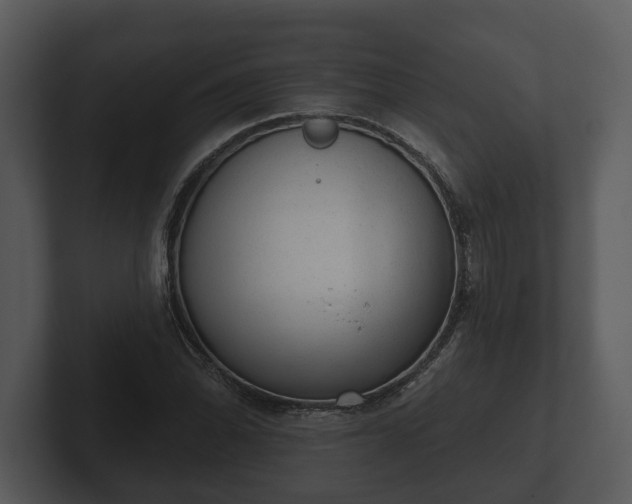 X0000103151070200808291425