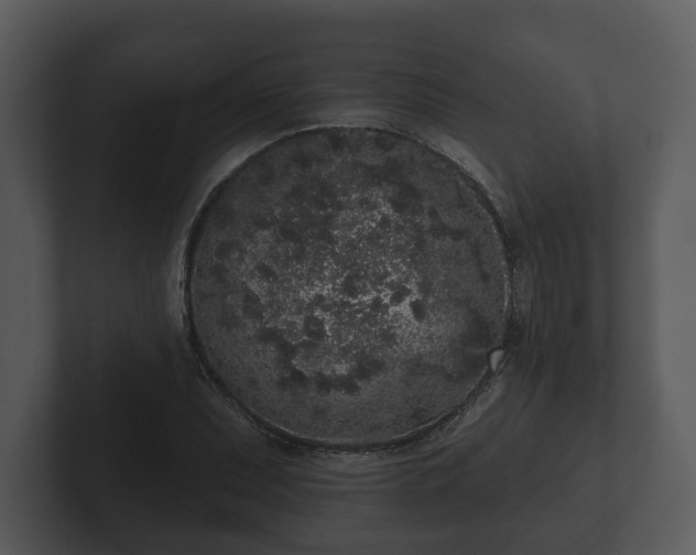 X0000103151071200808291425