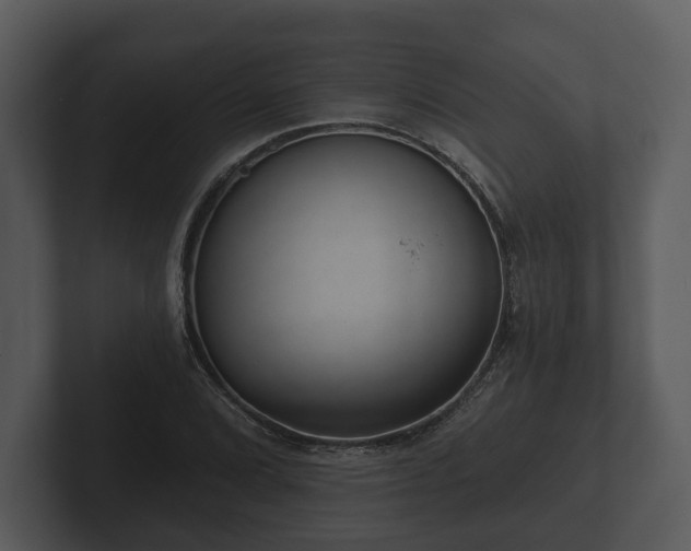 X0000103151072200808291425