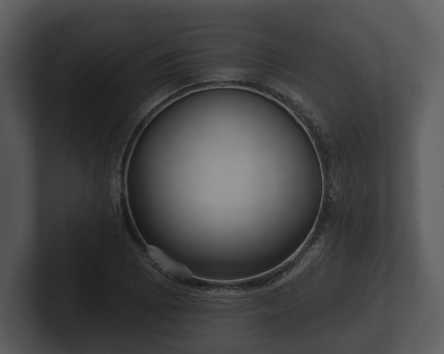 X0000103151073200808291425