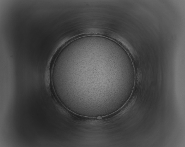 X0000103151075200808291425