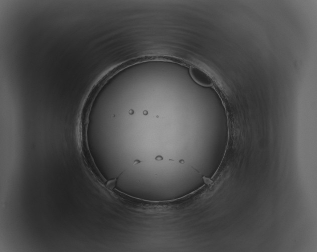 X0000103151076200808291425