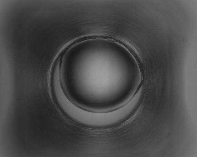 X0000103151077200808291425