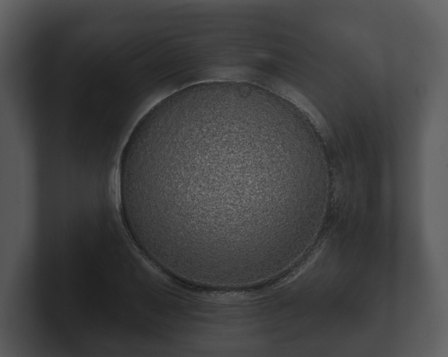 X0000103151079200808291425