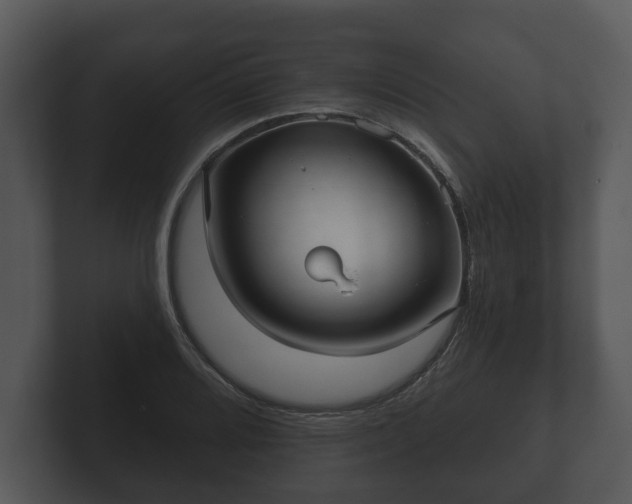 X0000103151080200808291425