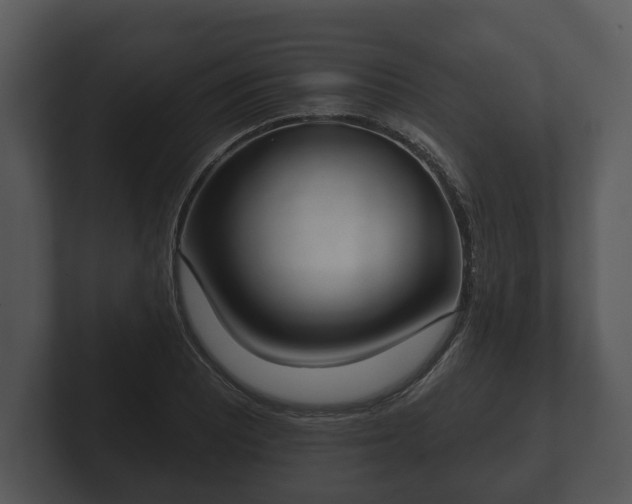 X0000103151081200808291425