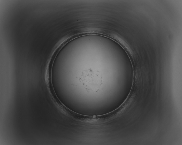 X0000103151082200808291425