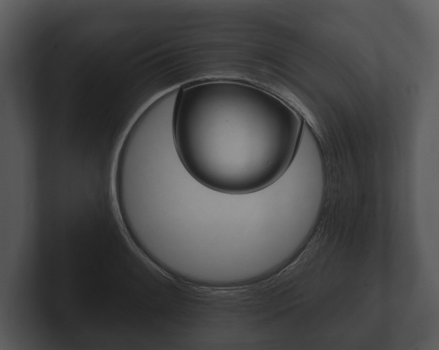 X0000103151084200808291425