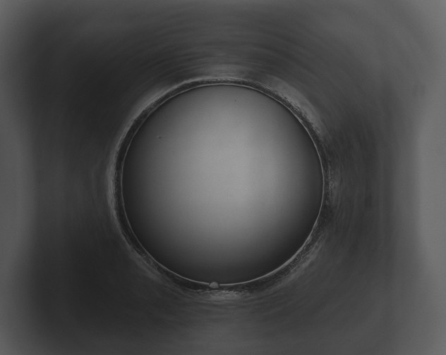 X0000103151085200808291425