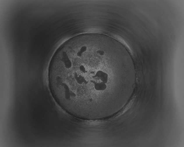 X0000103151087200808291425