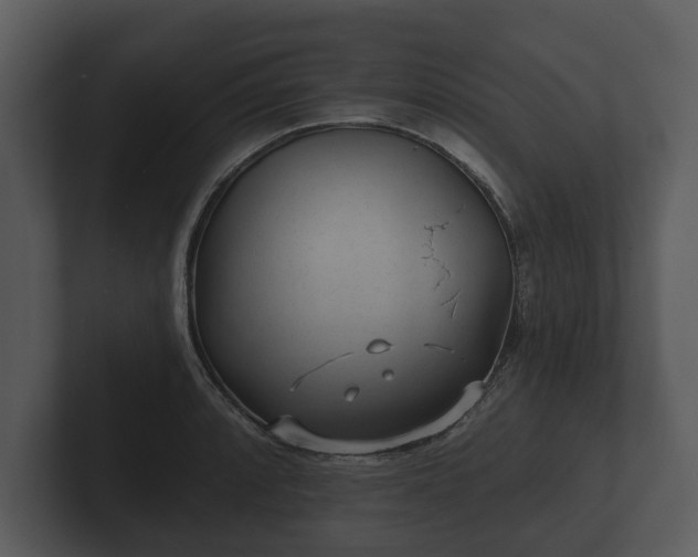 X0000103151088200808291425