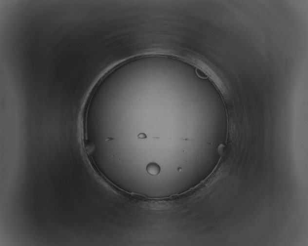 X0000103151092200808291425