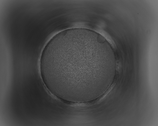 X0000103151094200808291425